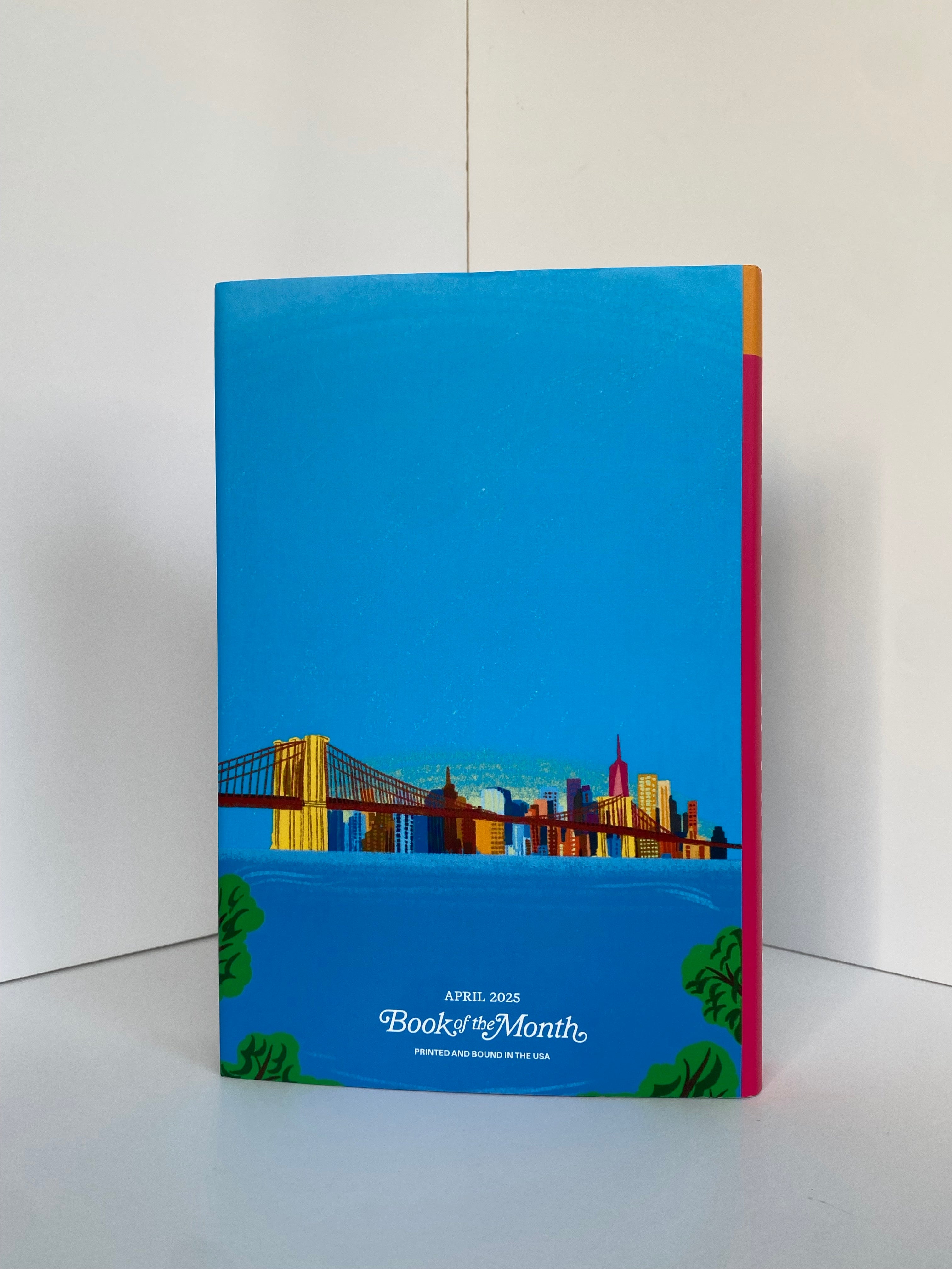 Passion Project by London Sperry (2025, Book of the Month)