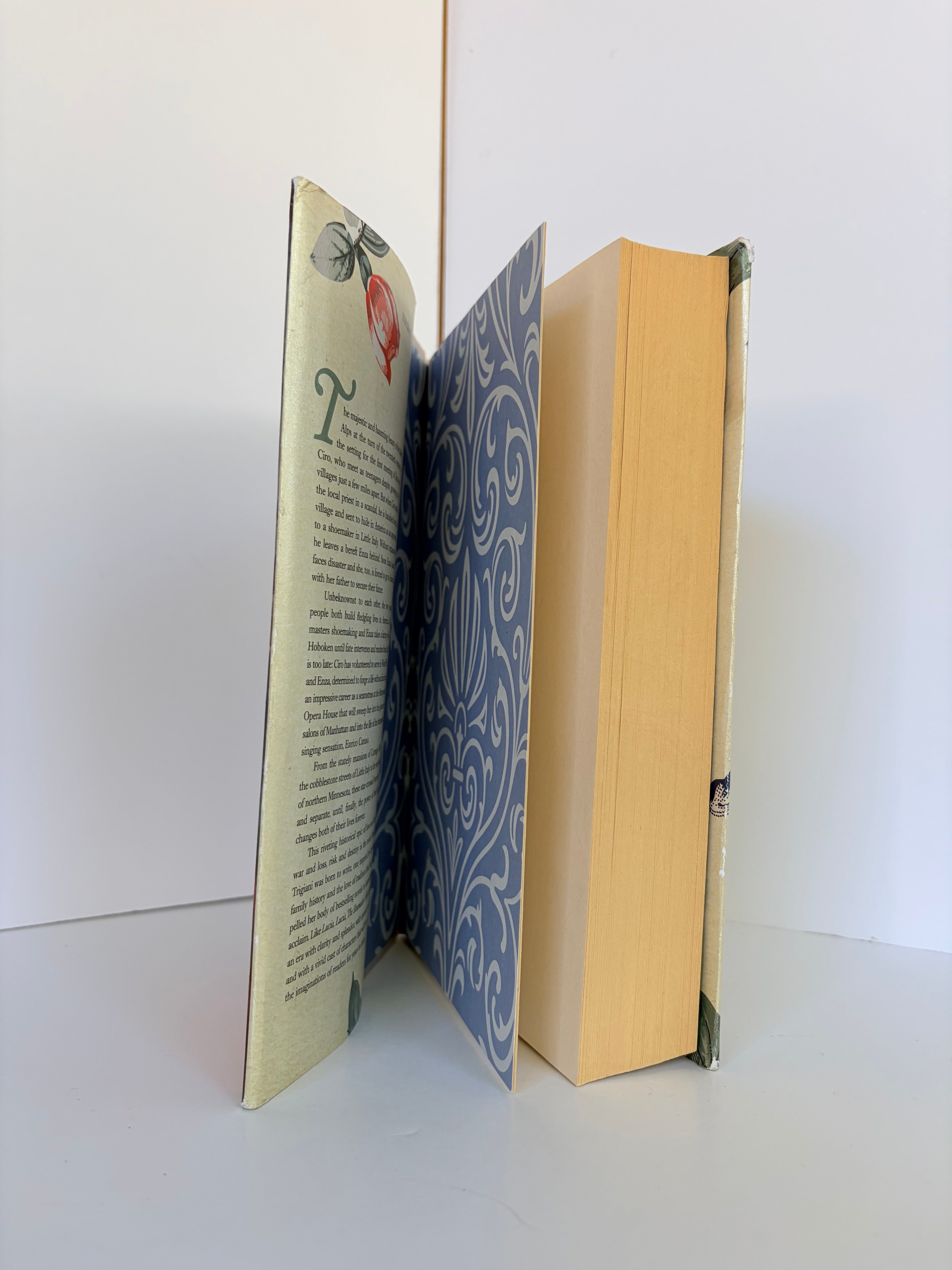 The Shoemaker's Wife by Adriana Trigiani (2012, First edition)