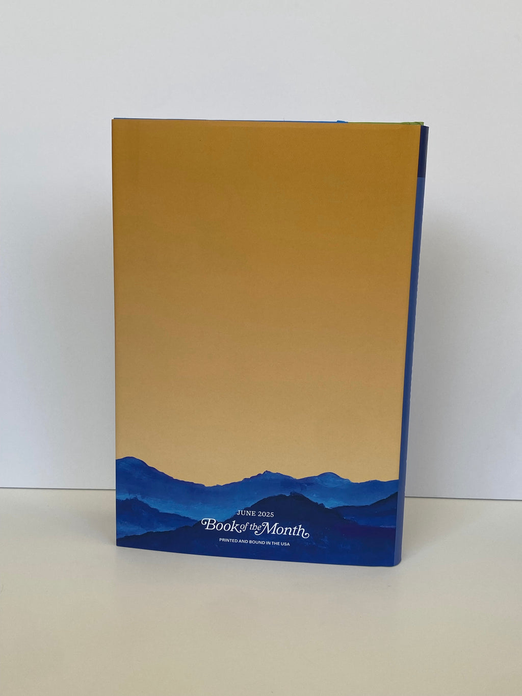 The Summer We Ran by Audrey Ingram (2025, Book of the Month)