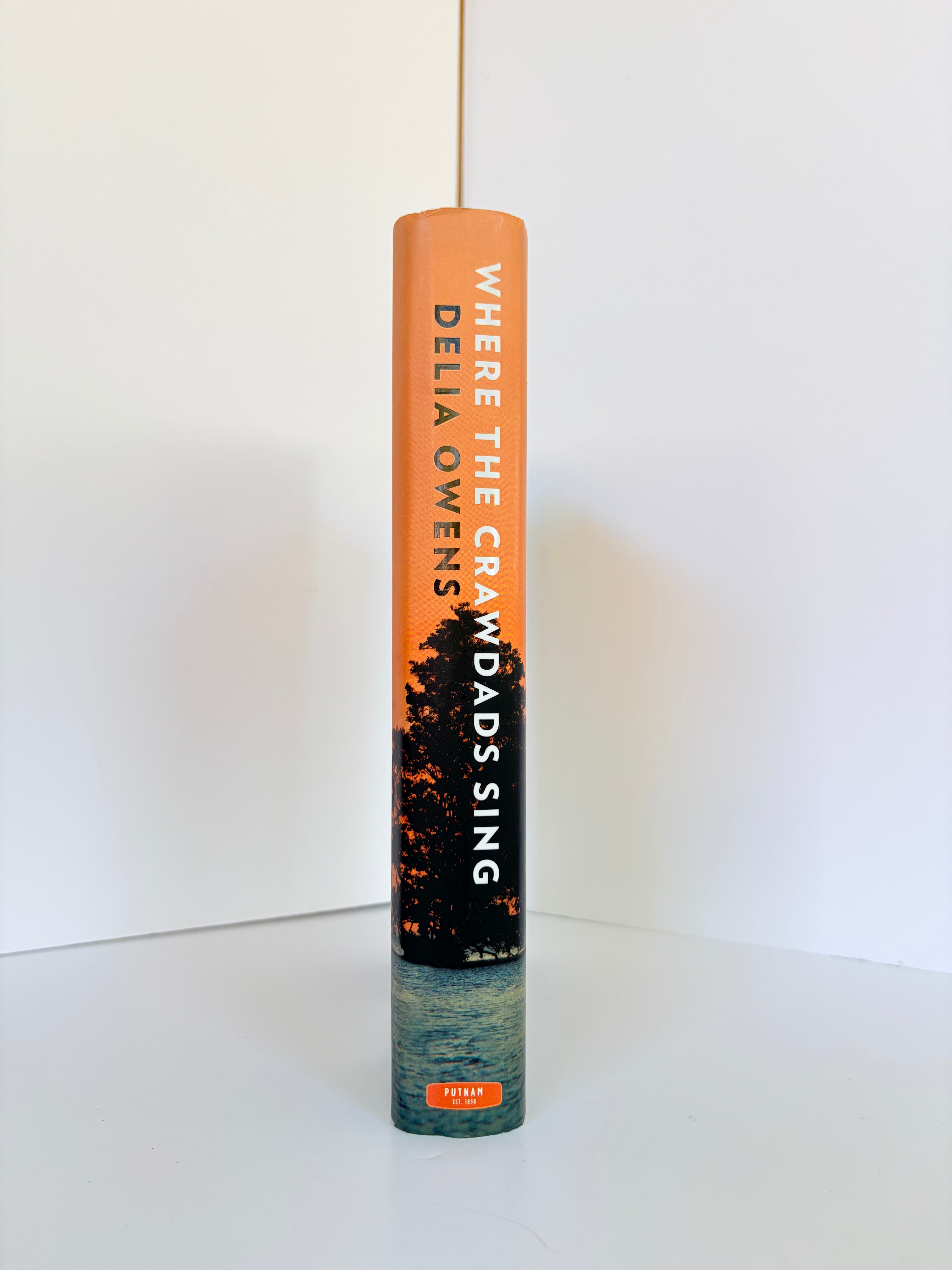 Where the Crawdads Sing by Delia Owens (2018, Reese's Book Club)