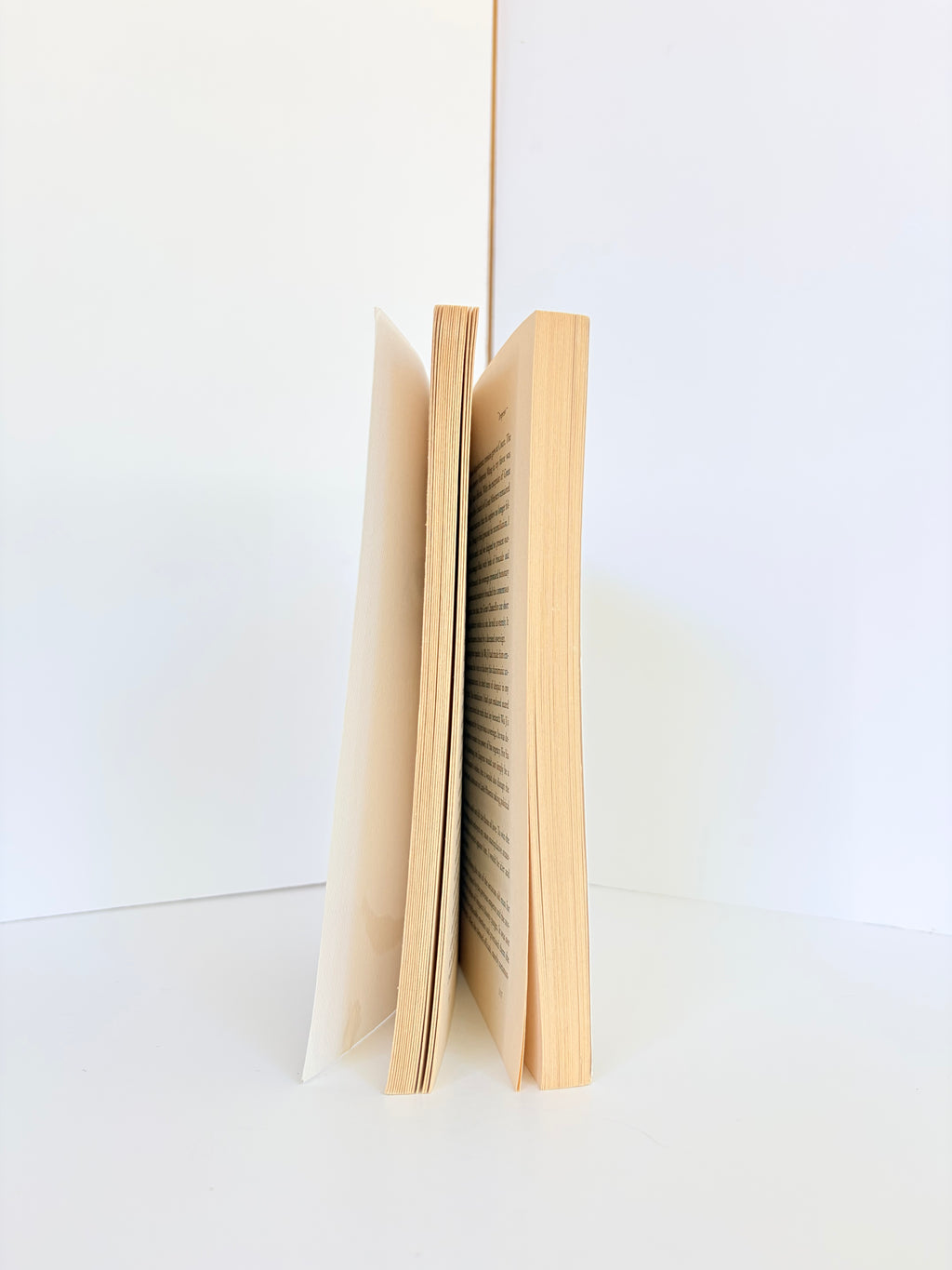 Empress	by Shan Sa (2007, Reprint, Reading Group Guide)