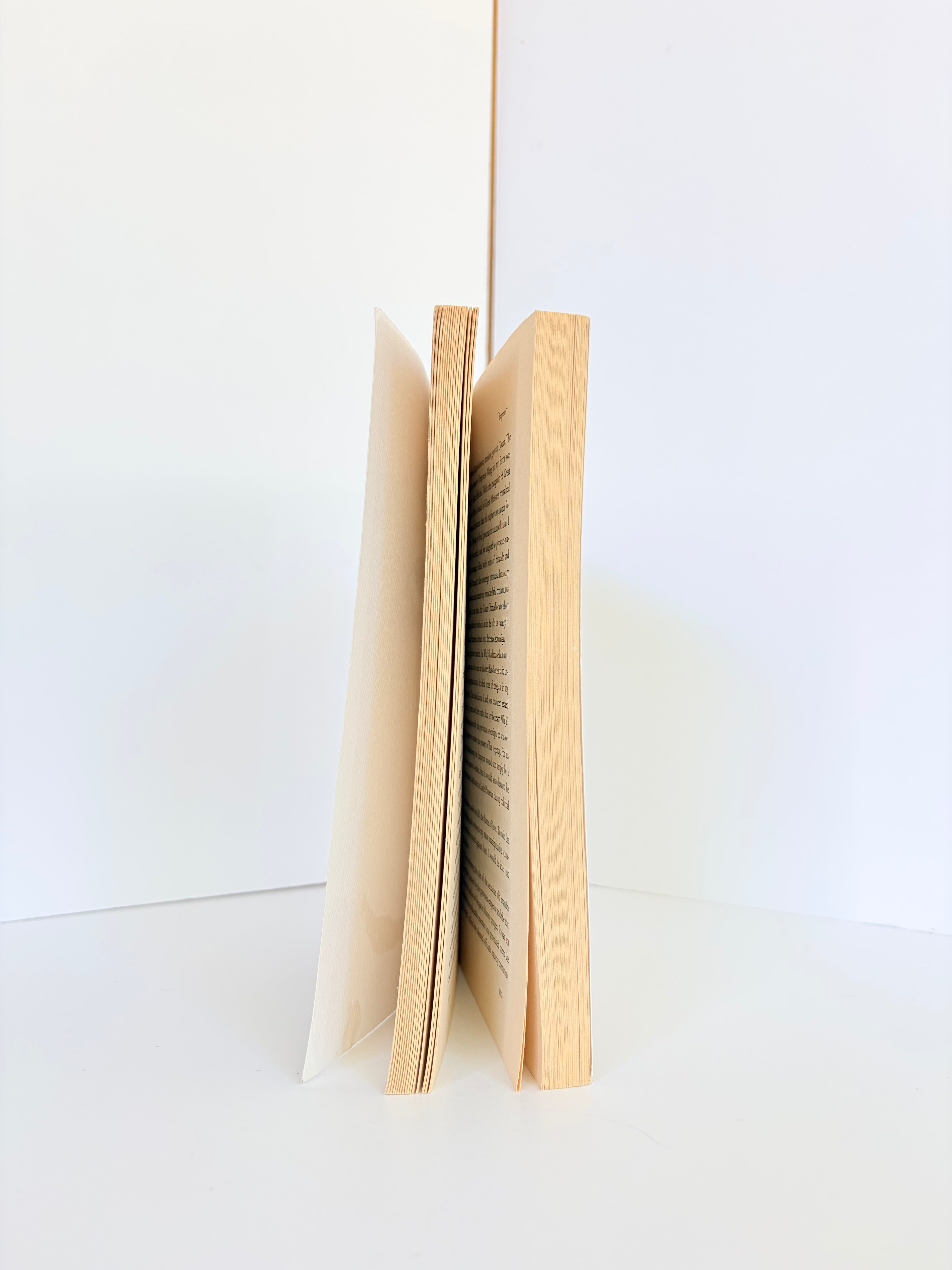 Empress	by Shan Sa (2007, Reprint, Reading Group Guide)
