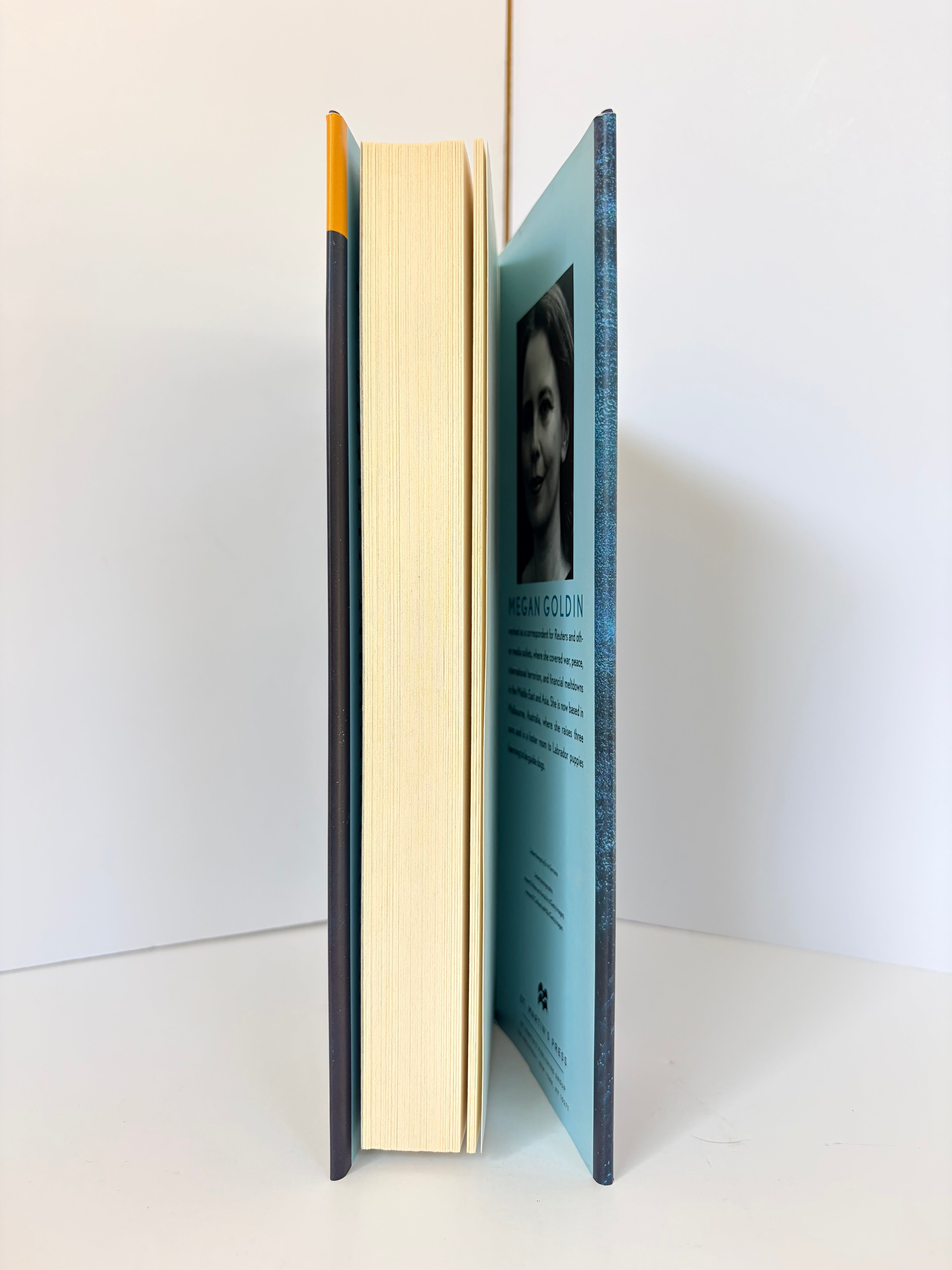 The Night Swim (Rachel Krall #1) by Megan Goldin (2020, Book of the Month)
