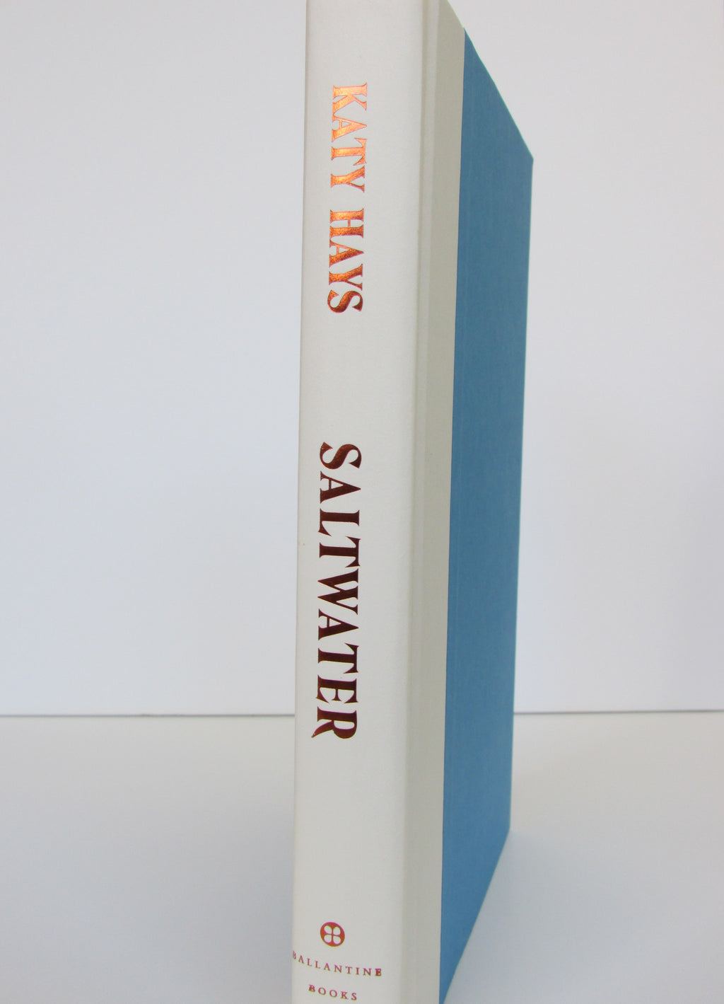 Saltwater: A Novel by Katy Hays (2025, Hardcover)