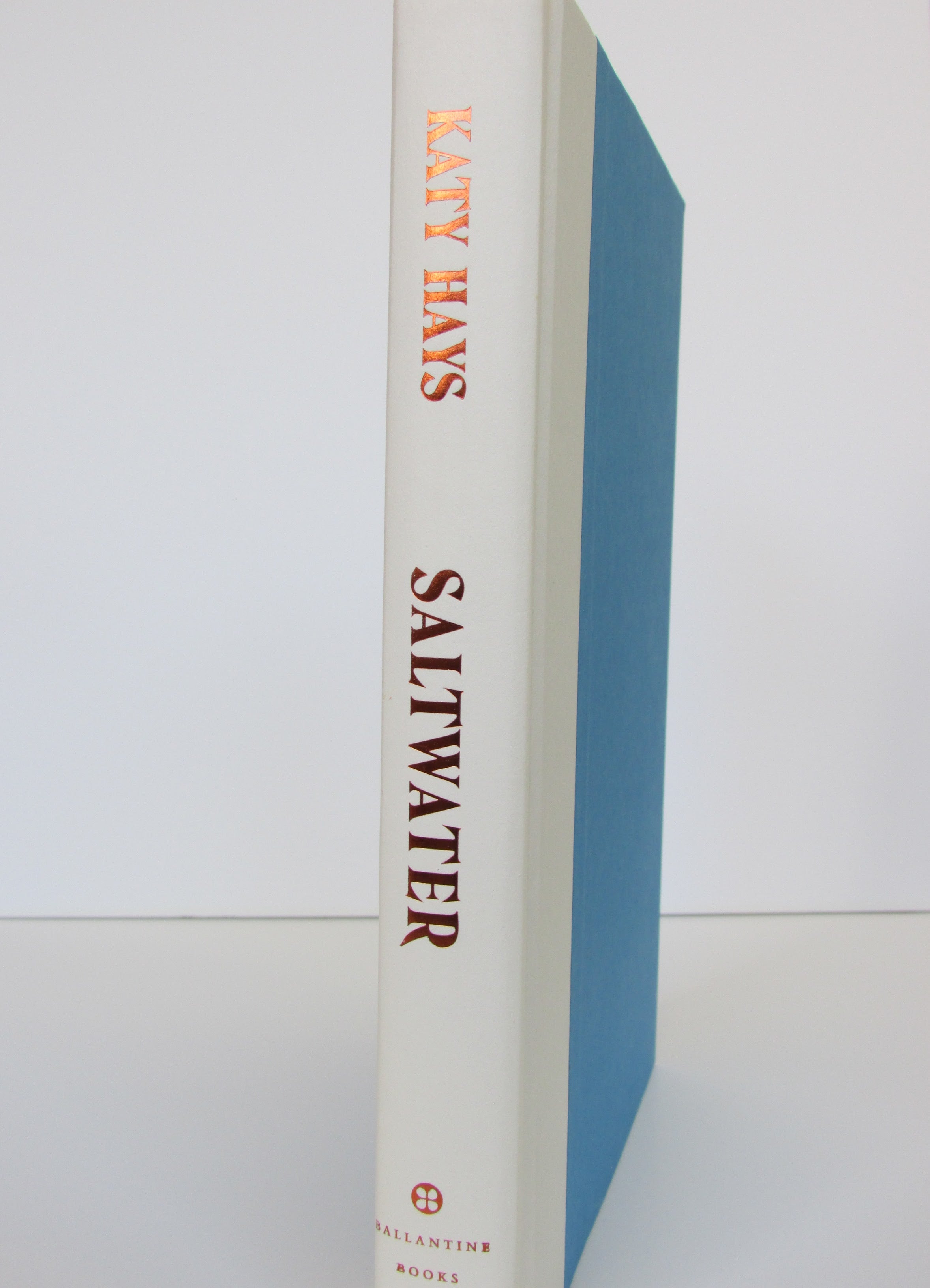 Saltwater: A Novel by Katy Hays (2025, Hardcover)