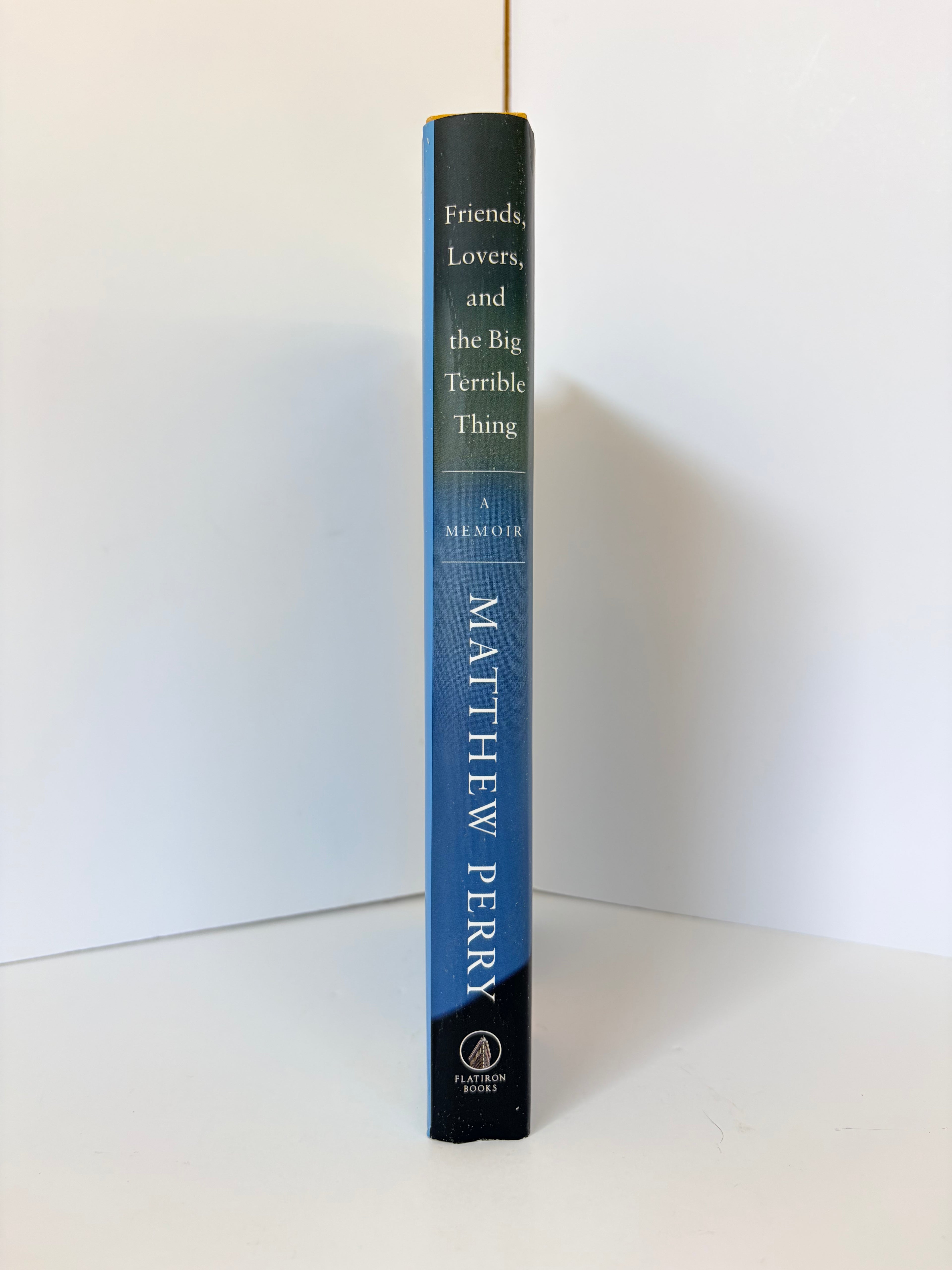 Friends, Lovers, and the Big Terrible Thing by Matthew Perry (2022, Hardcover)