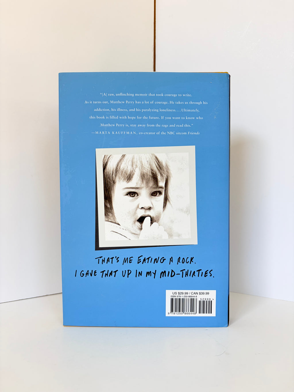 Friends, Lovers, and the Big Terrible Thing by Matthew Perry (2022, Hardcover)