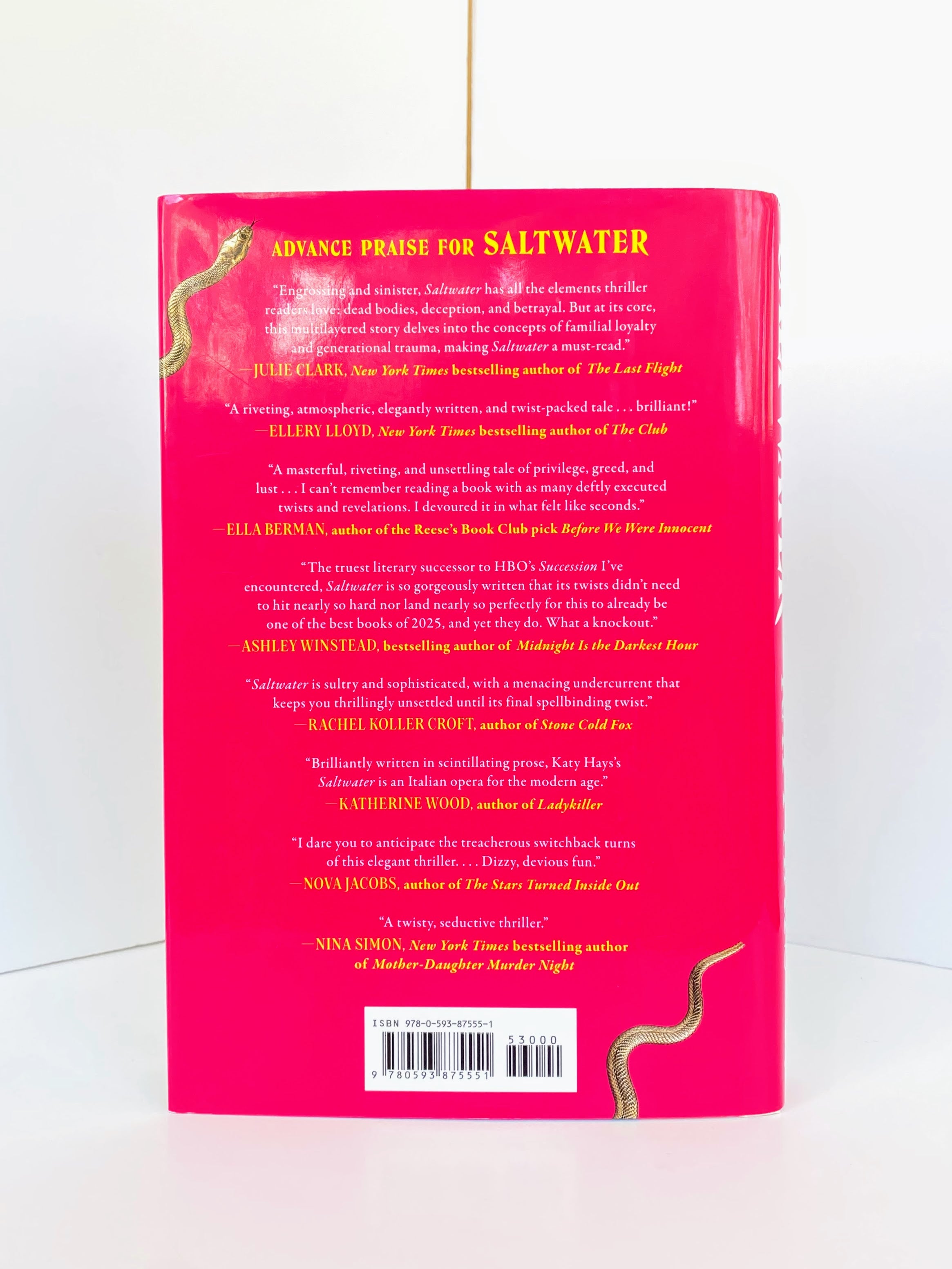 Saltwater: A Novel by Katy Hays (2025, Hardcover)