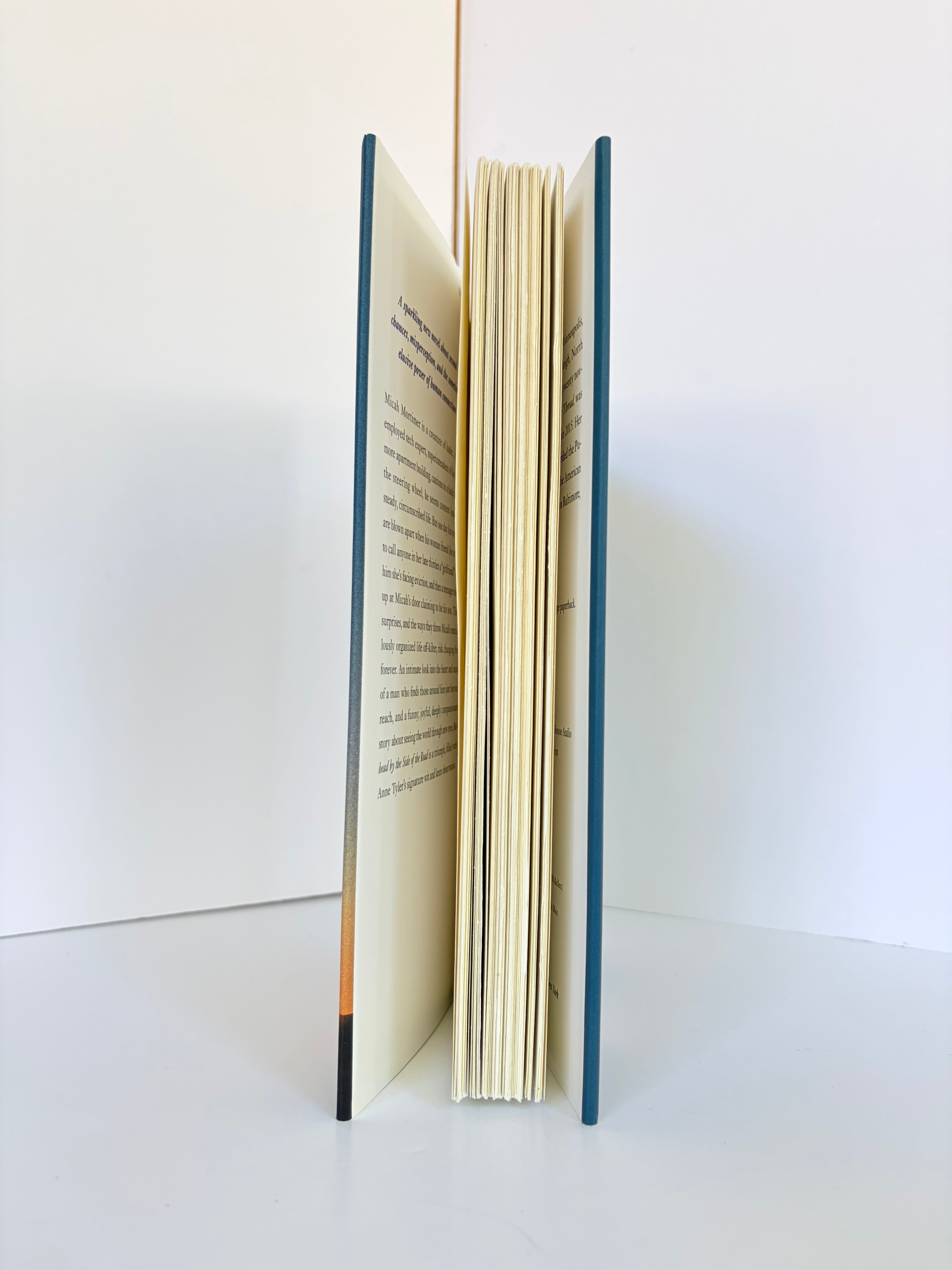 Redhead by the Side of the Road by Anne Tyler (2020, First edition)
