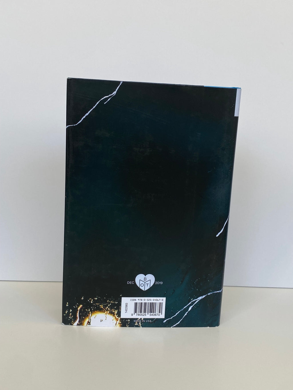 Long Bright River by Liz Moore (2019, Book of the Month)