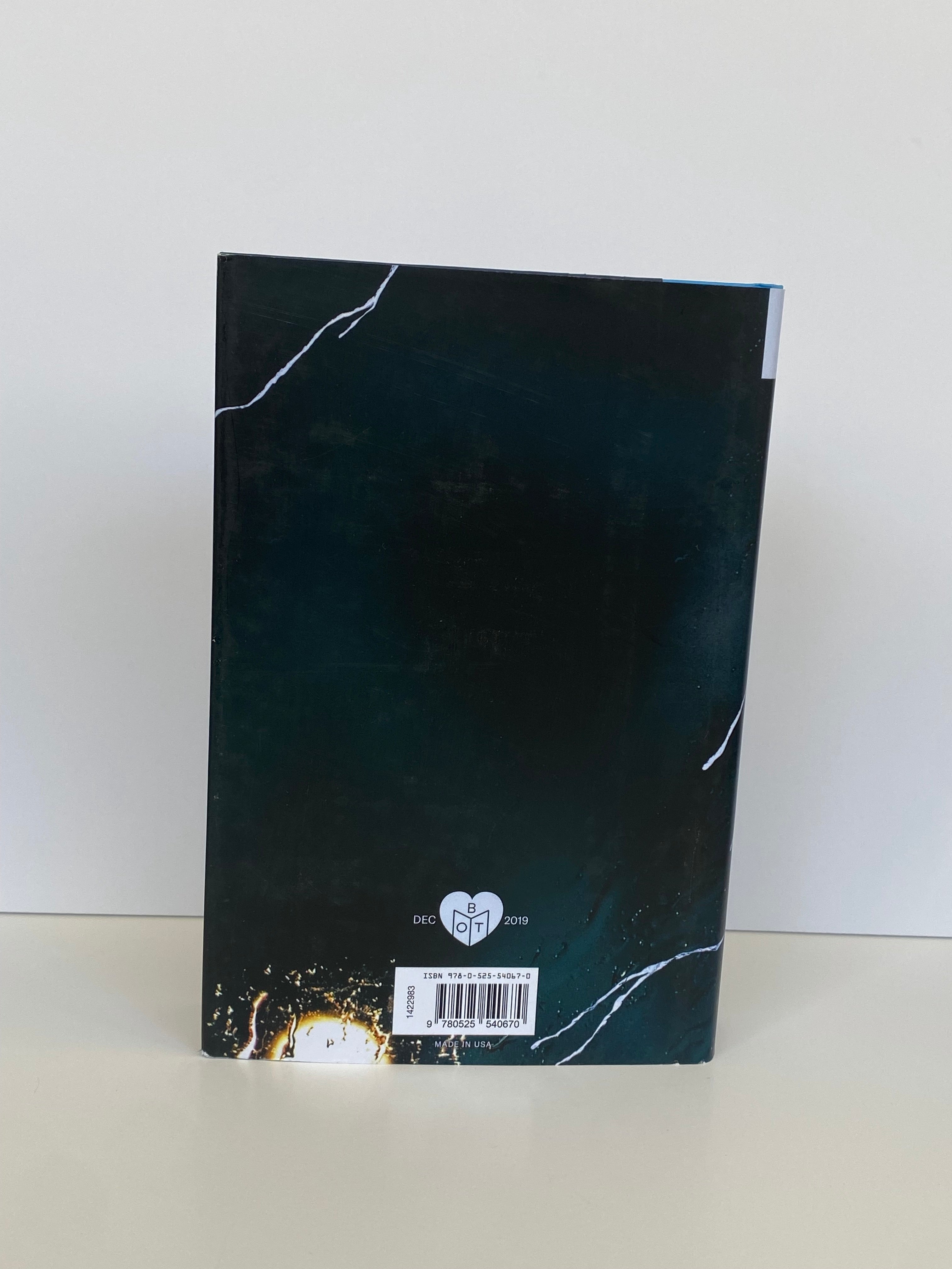 Long Bright River by Liz Moore (2019, Book of the Month)