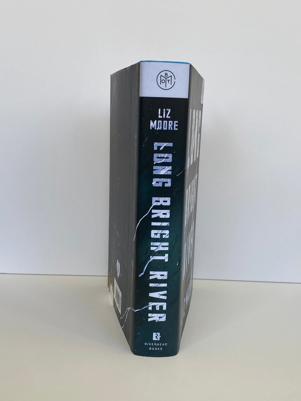Long Bright River by Liz Moore (2019, Book of the Month)