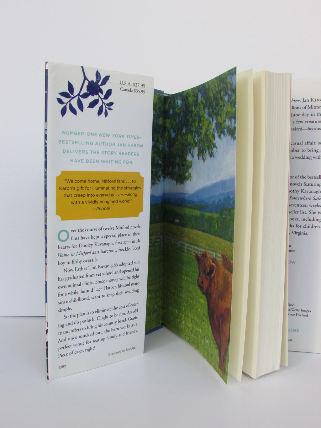 Come Rain or Come Shine by Jan Karon (2015, Hardcover)