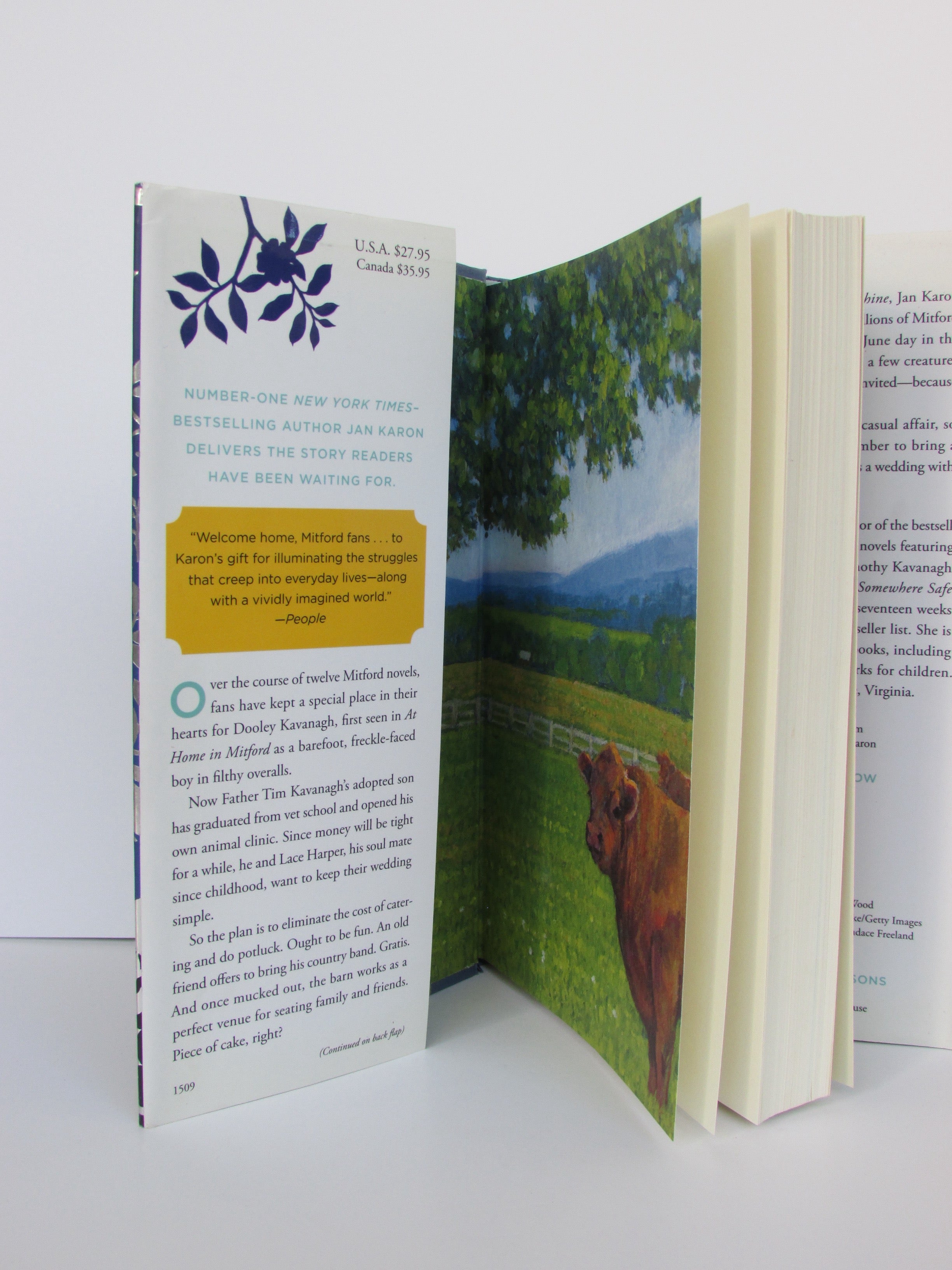 Come Rain or Come Shine by Jan Karon (2015, Hardcover)