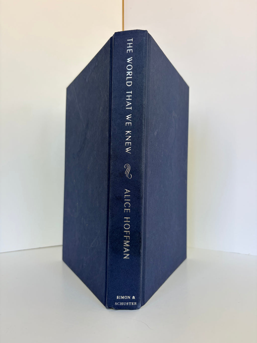 The World That We Knew by Alice Hoffman (2019, First edition)
