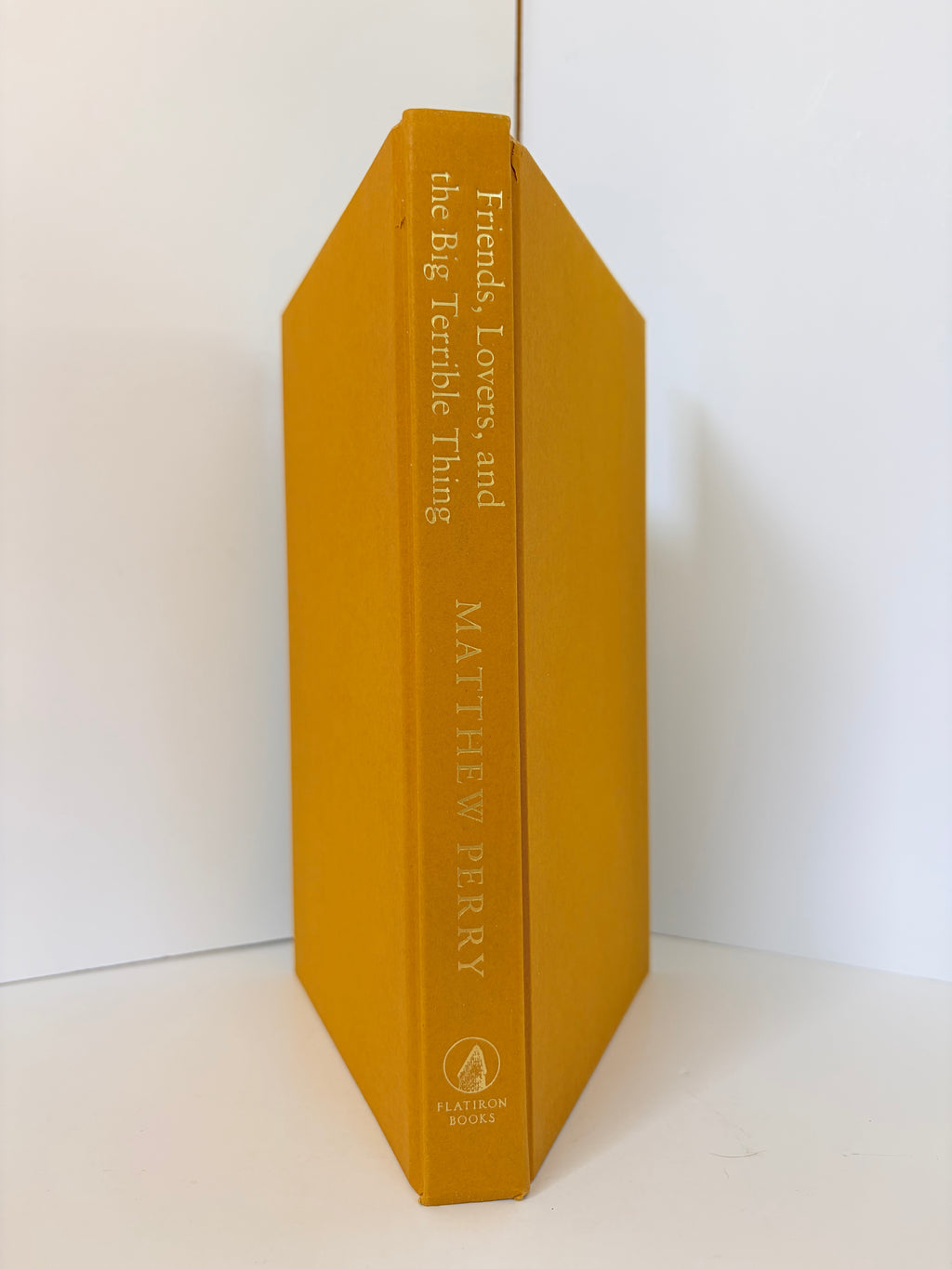 Friends, Lovers, and the Big Terrible Thing by Matthew Perry (2022, Hardcover)