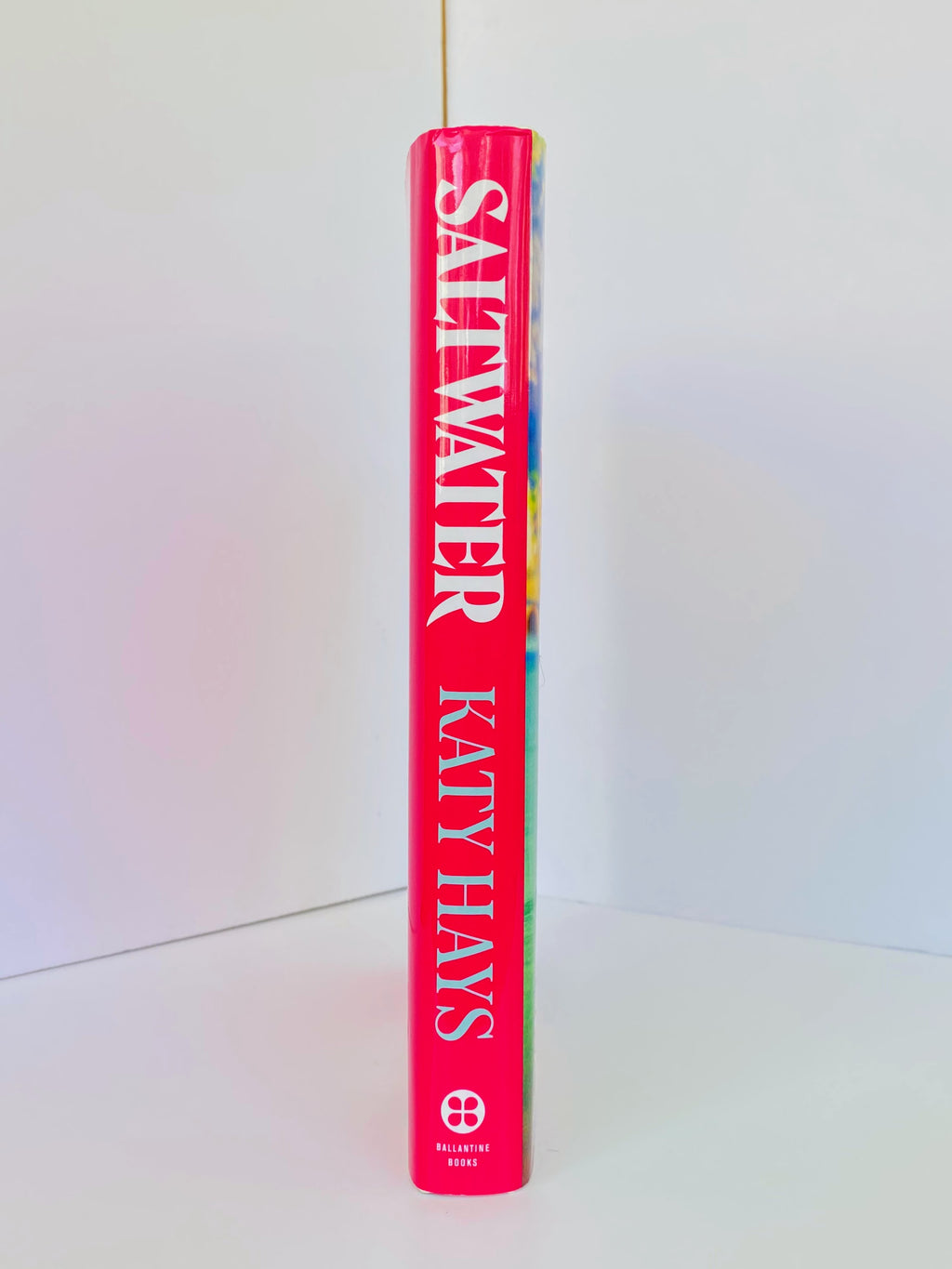 Saltwater: A Novel by Katy Hays (2025, Hardcover)