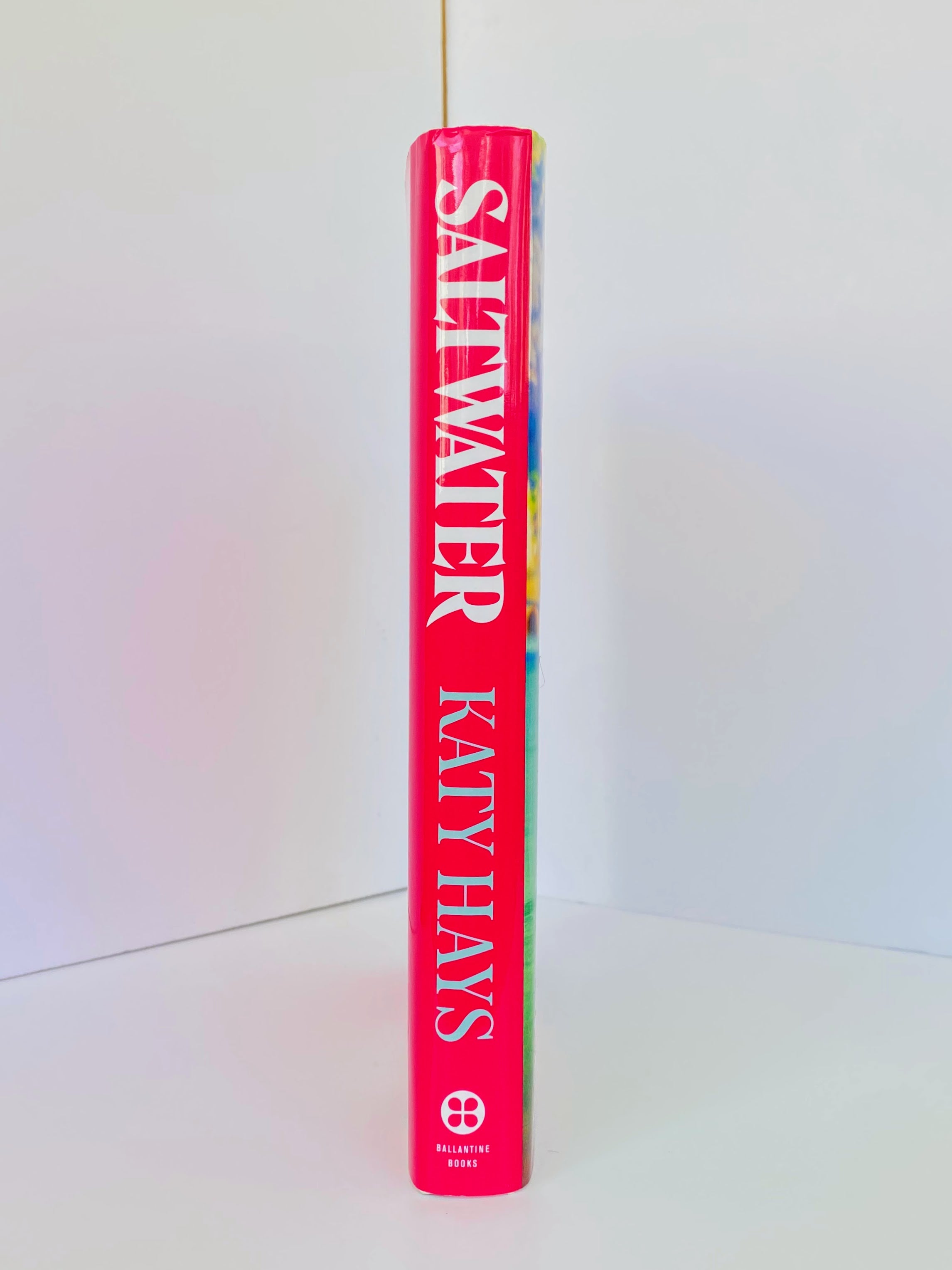 Saltwater: A Novel by Katy Hays (2025, Hardcover)
