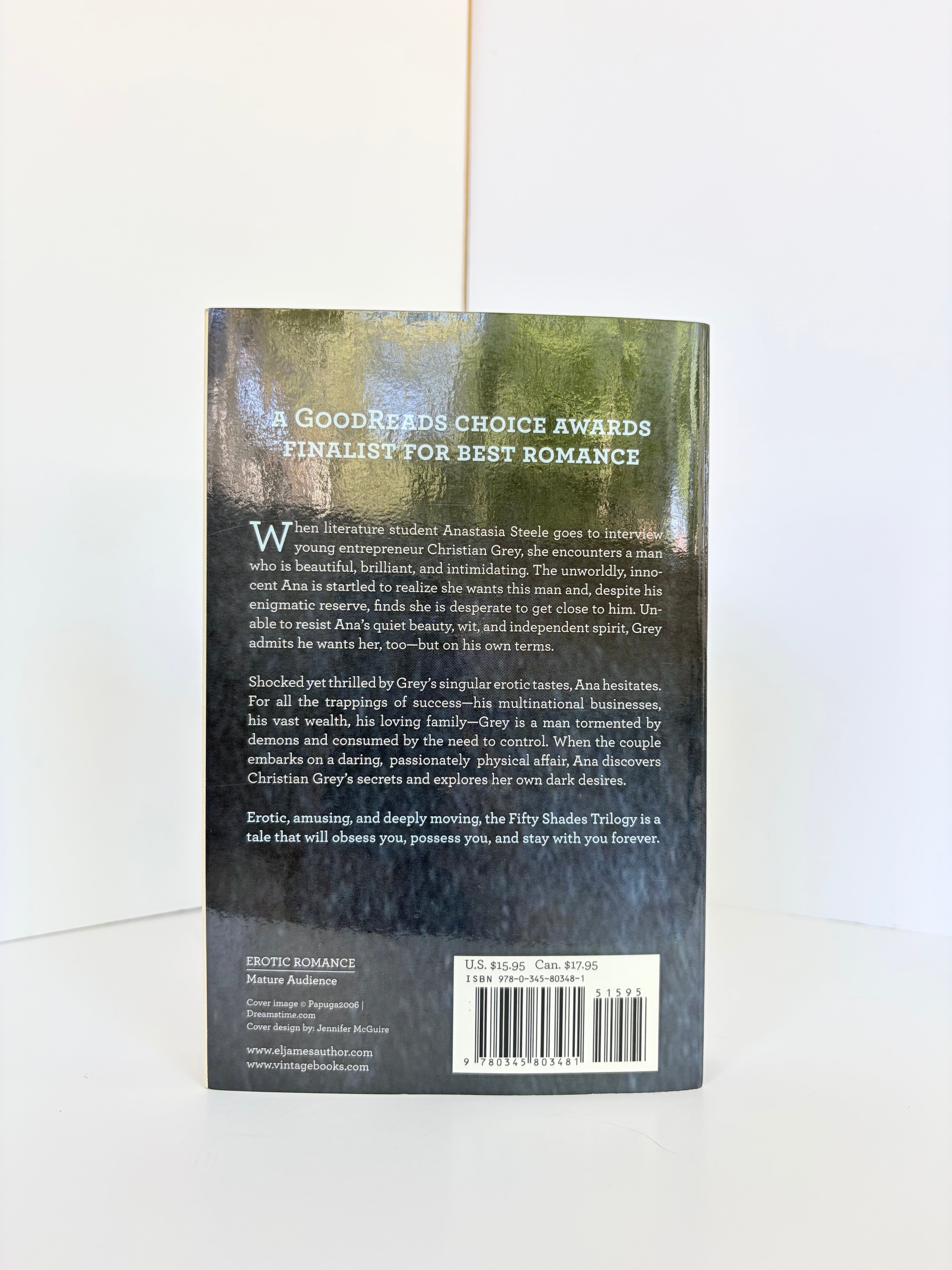 Fifty Shades of Grey (Fifty Shades #1) by E.L. James (2011, First edition)