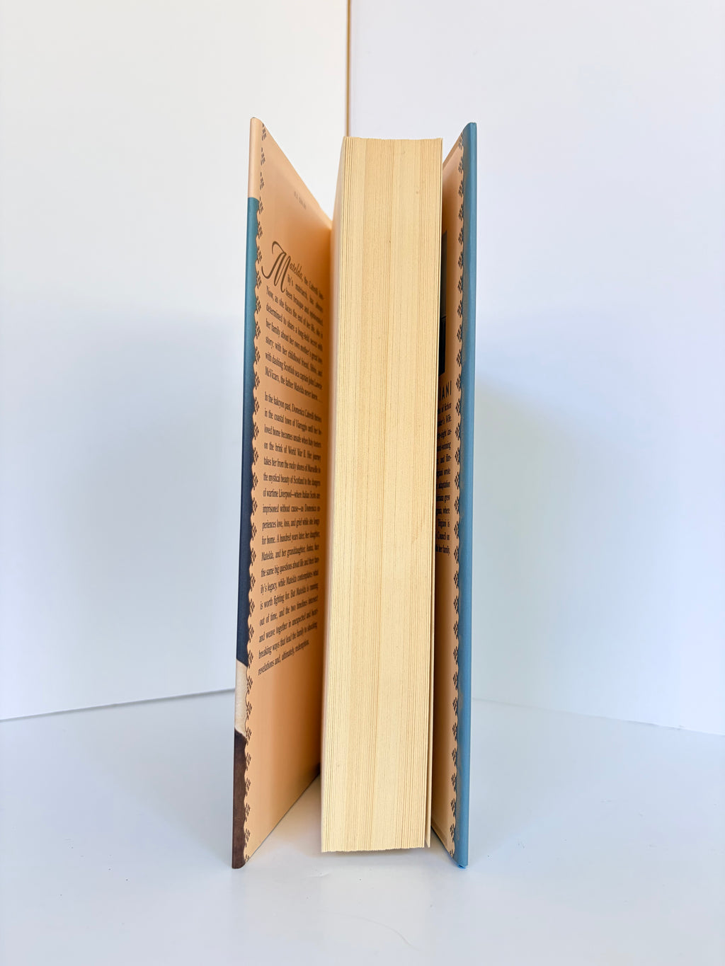 The Good Left Undone by Adriana Trigiani (2022, Book of the Month)