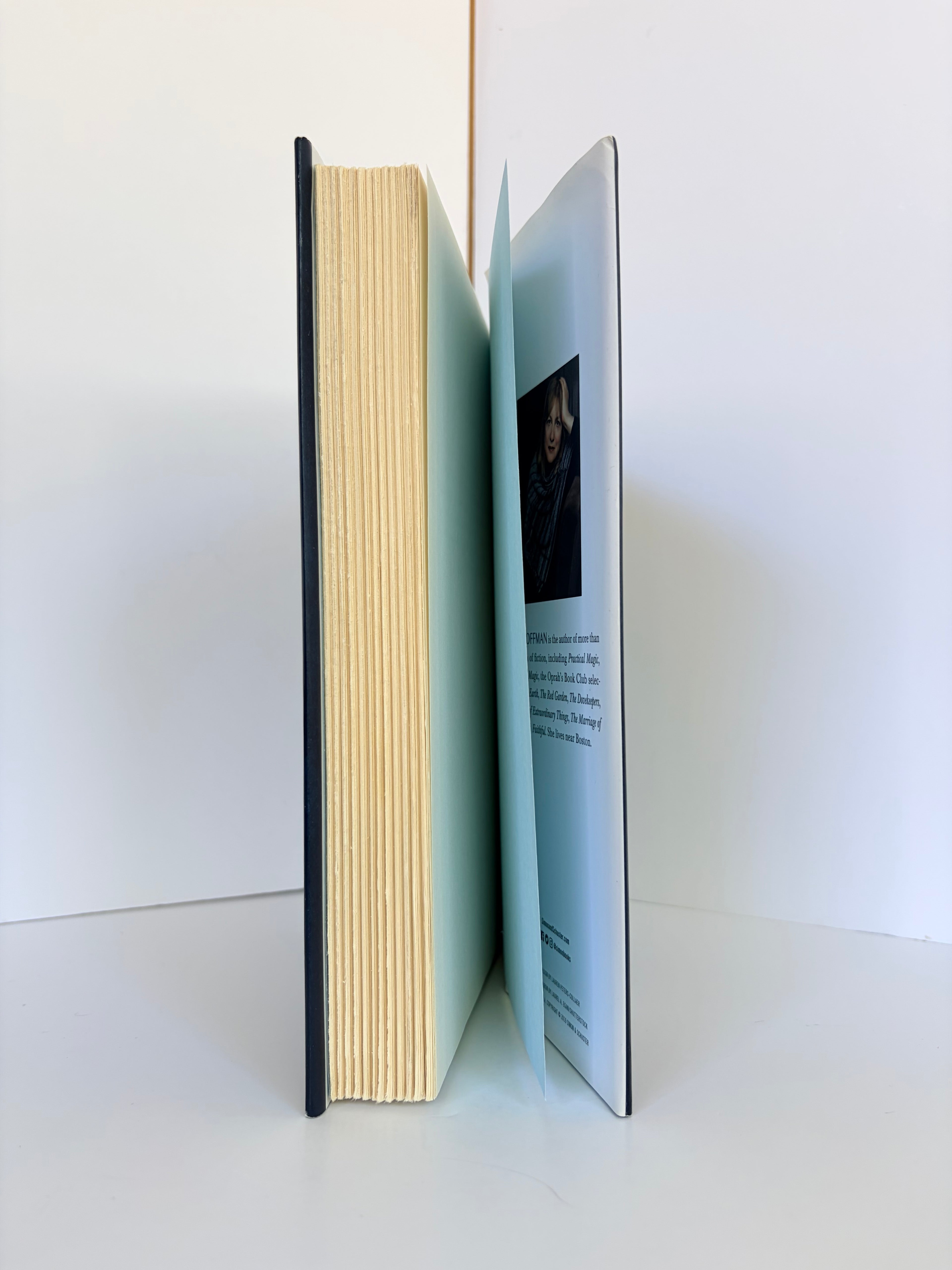 The World That We Knew by Alice Hoffman (2019, First edition)