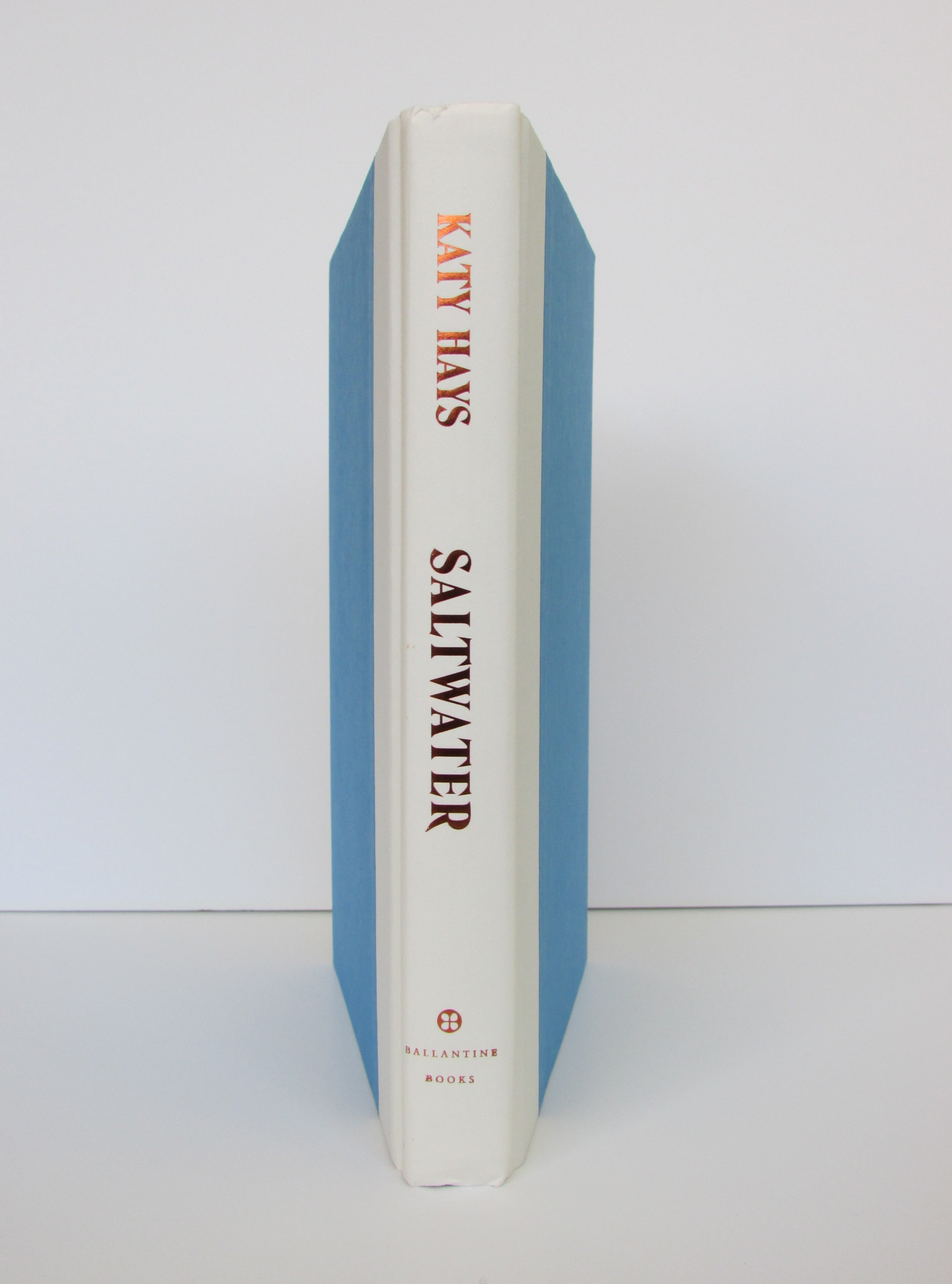 Saltwater: A Novel by Katy Hays (2025, Hardcover)