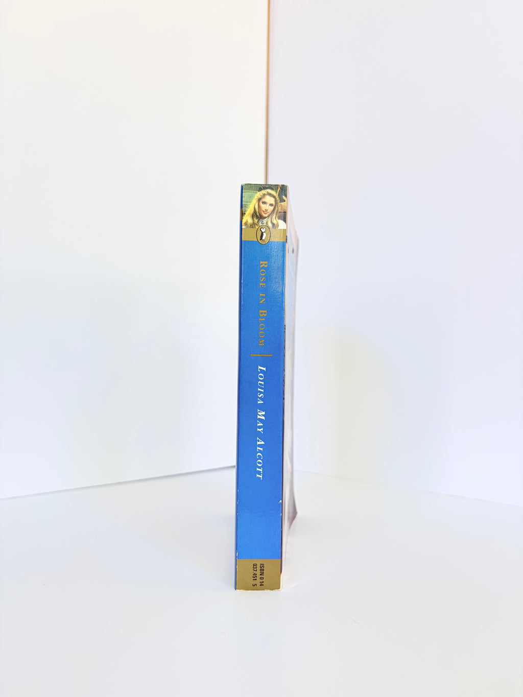 Rose in Bloom (Eight Cousins #2) by Louisa May Alcott (1995, Reissue)