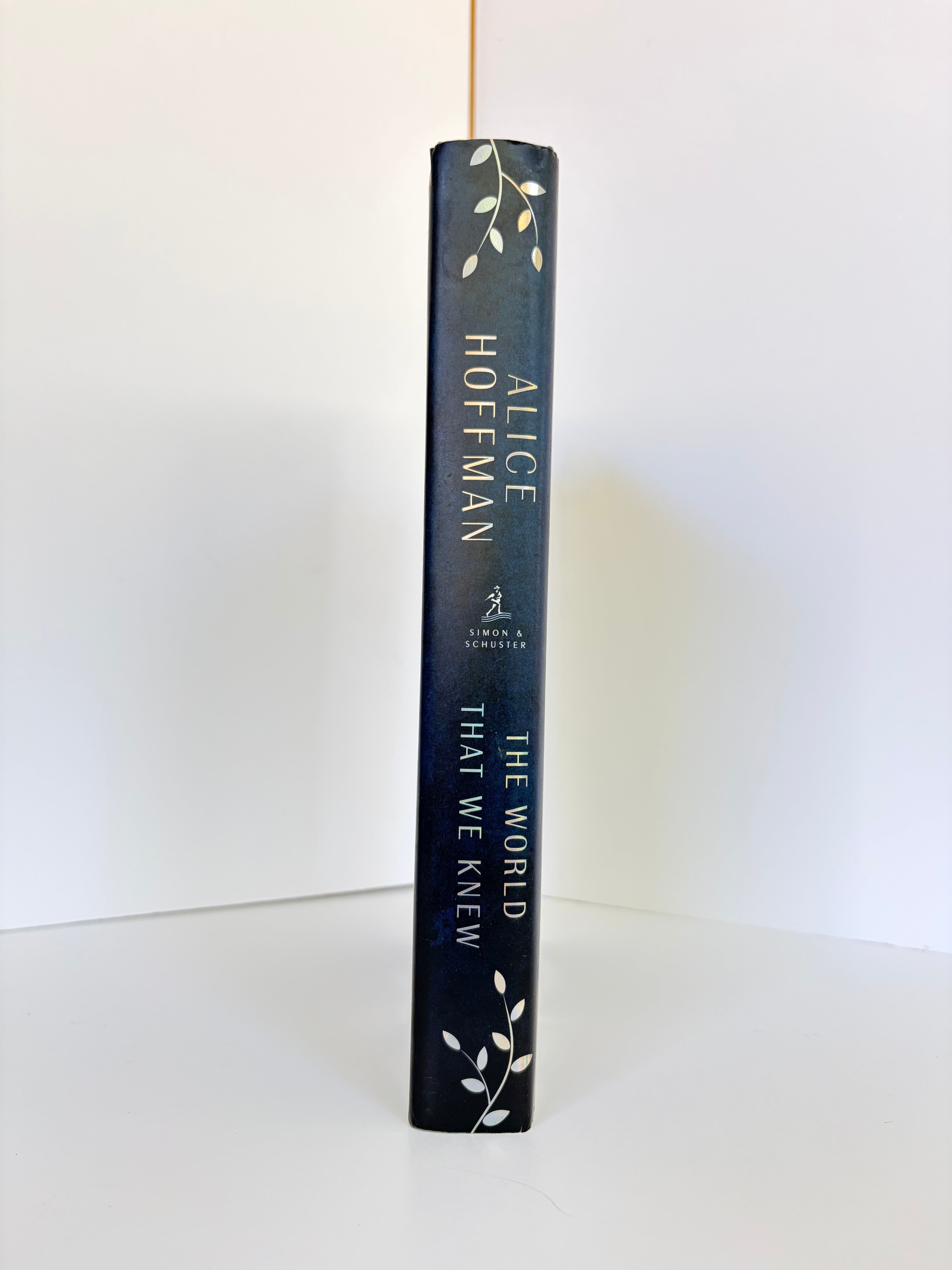 The World That We Knew by Alice Hoffman (2019, First edition)