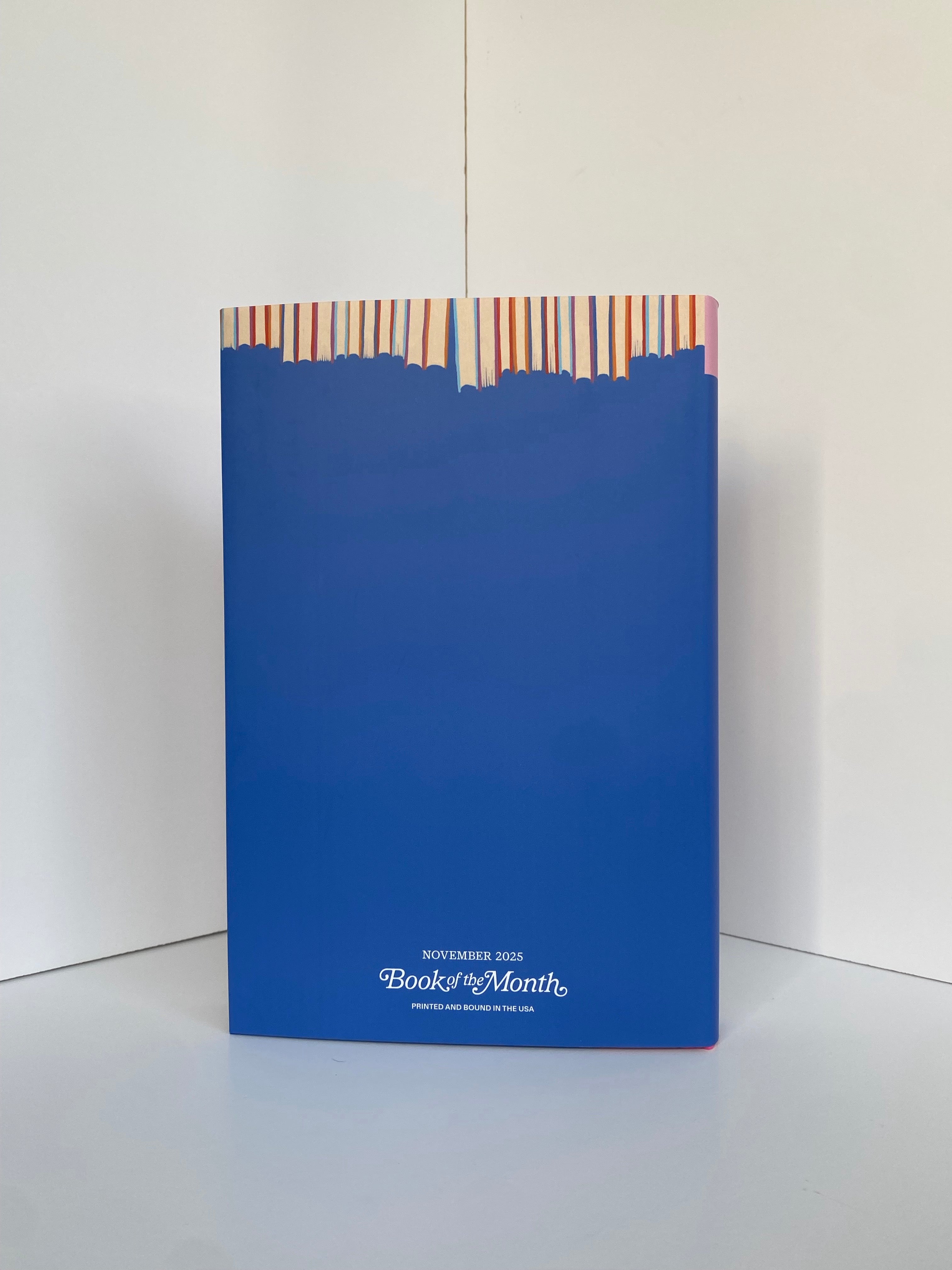An Academic Affair by Jodi McAlister (2025, Book of the Month)