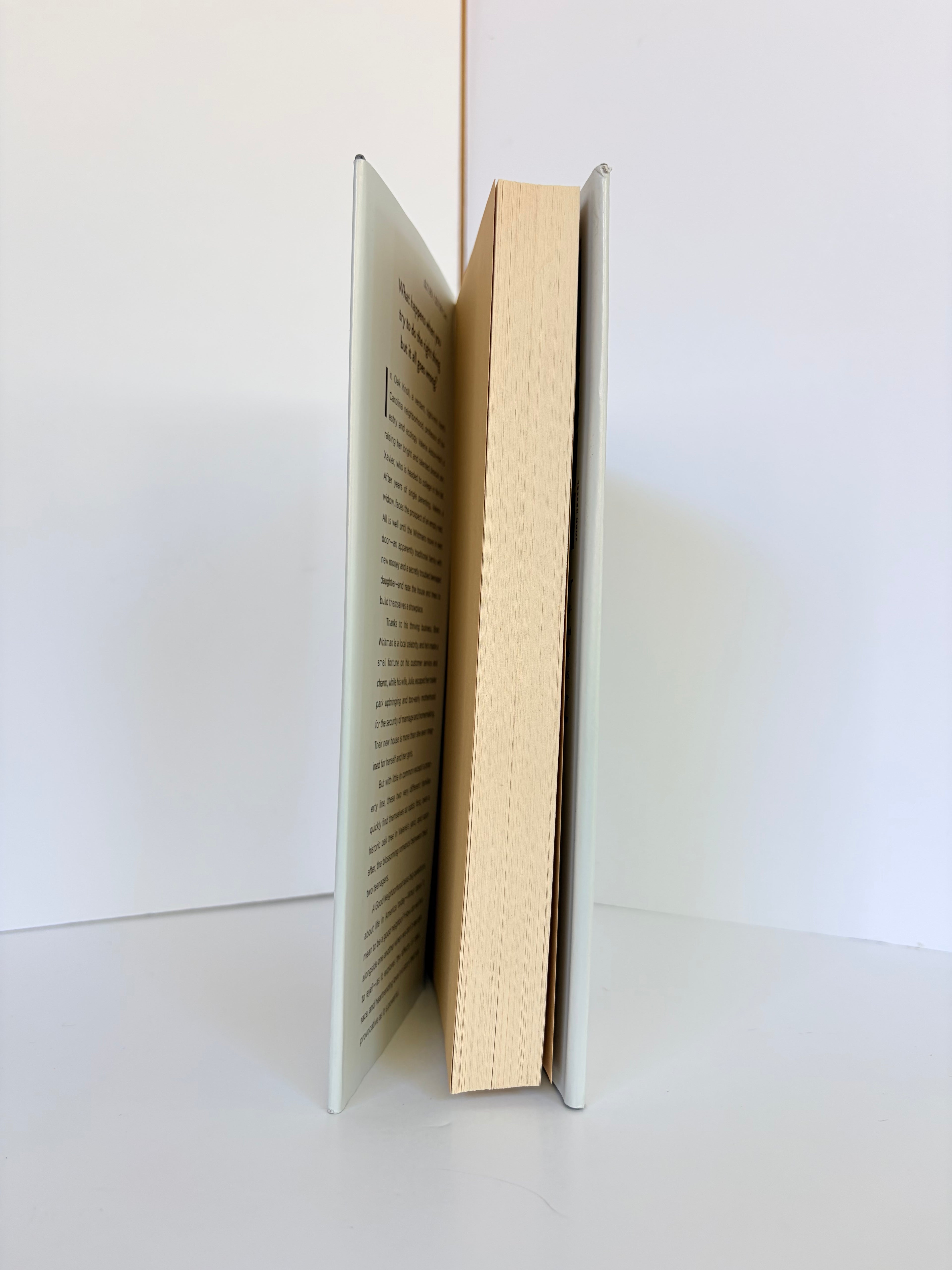 A Good Neighborhood by Therese Anne Fowler (2020, Hardcover)
