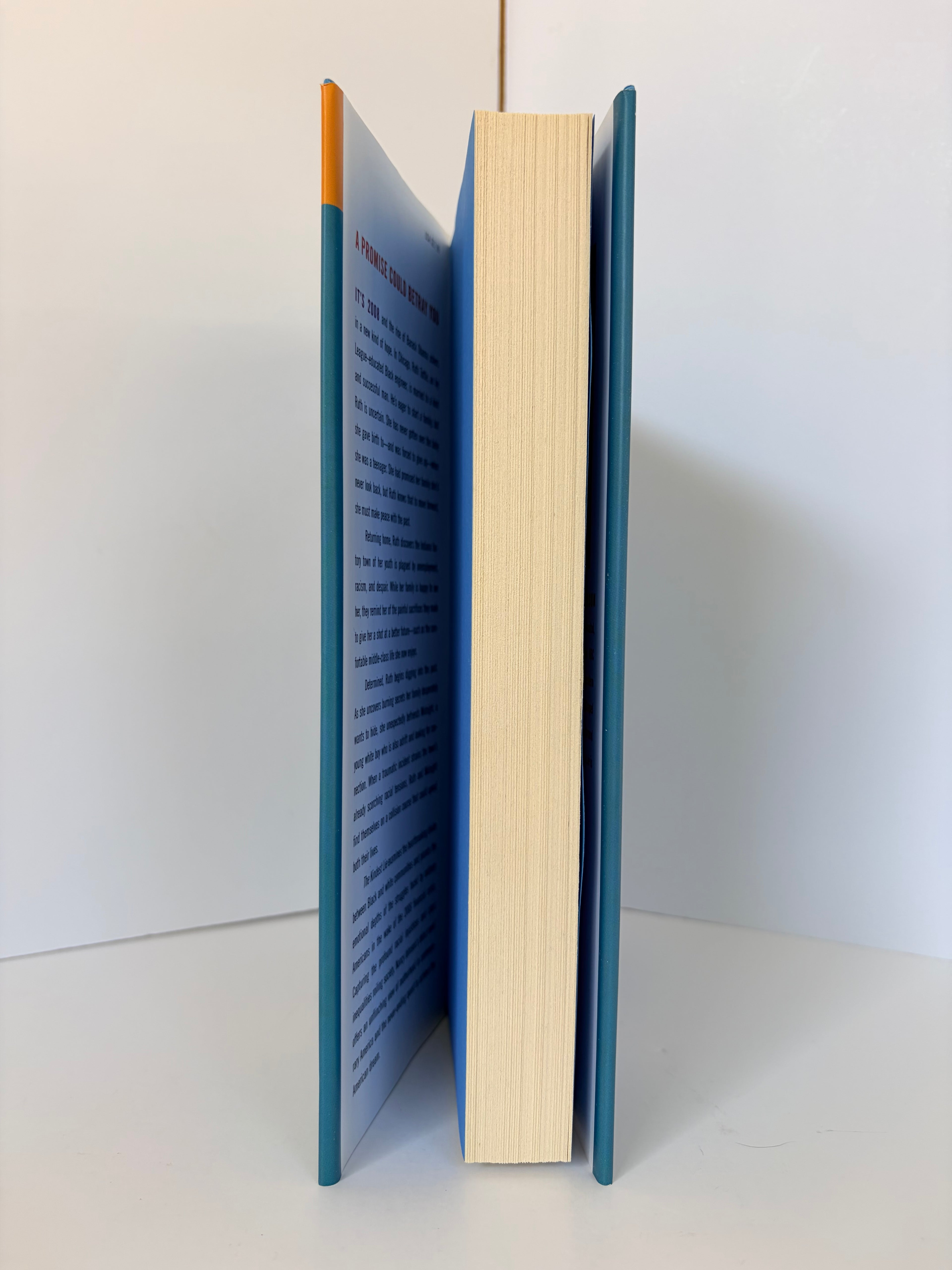 The Kindest Lie by Nancy Johnson (2021, Book of the Month)