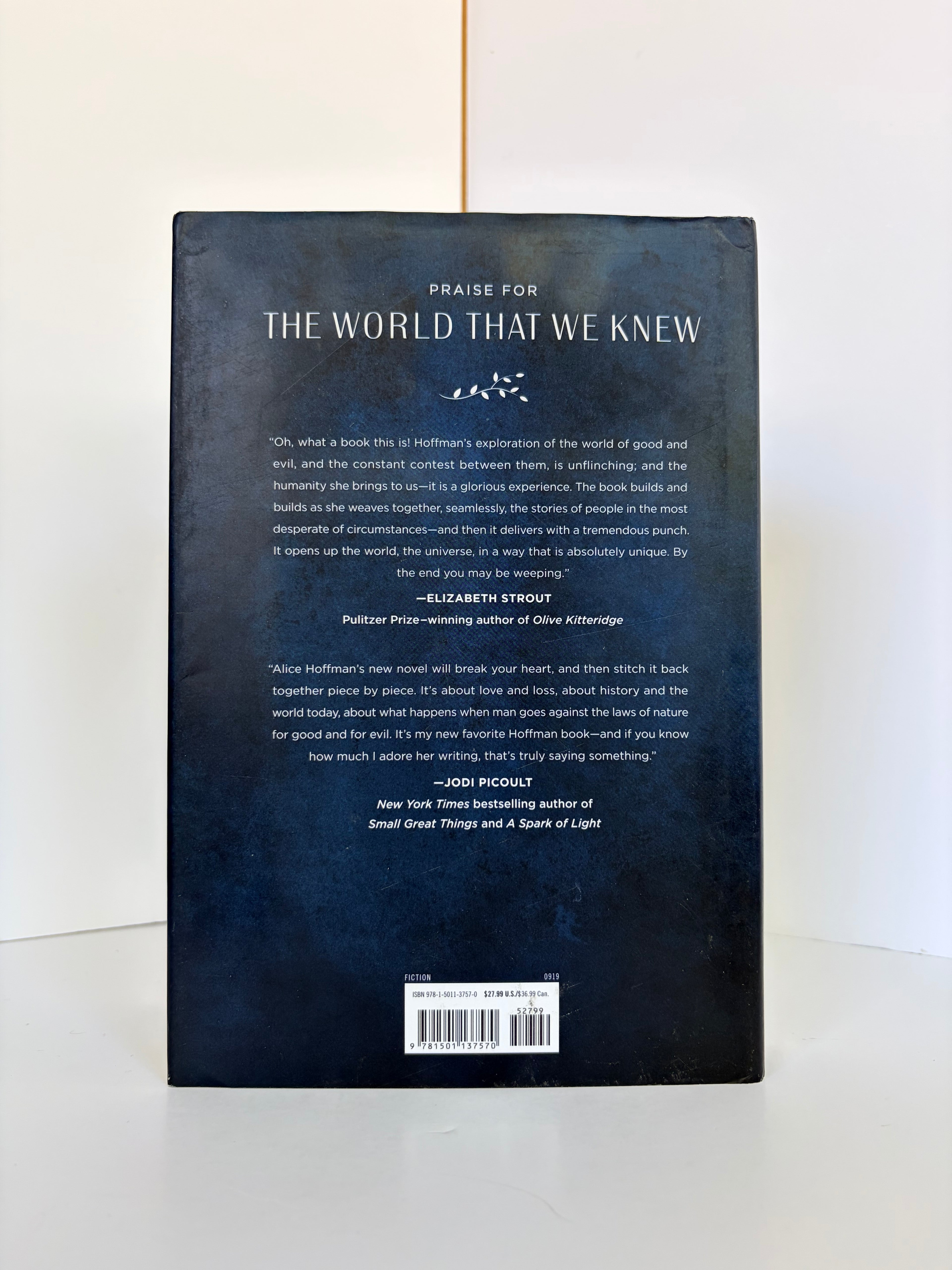 The World That We Knew by Alice Hoffman (2019, First edition)