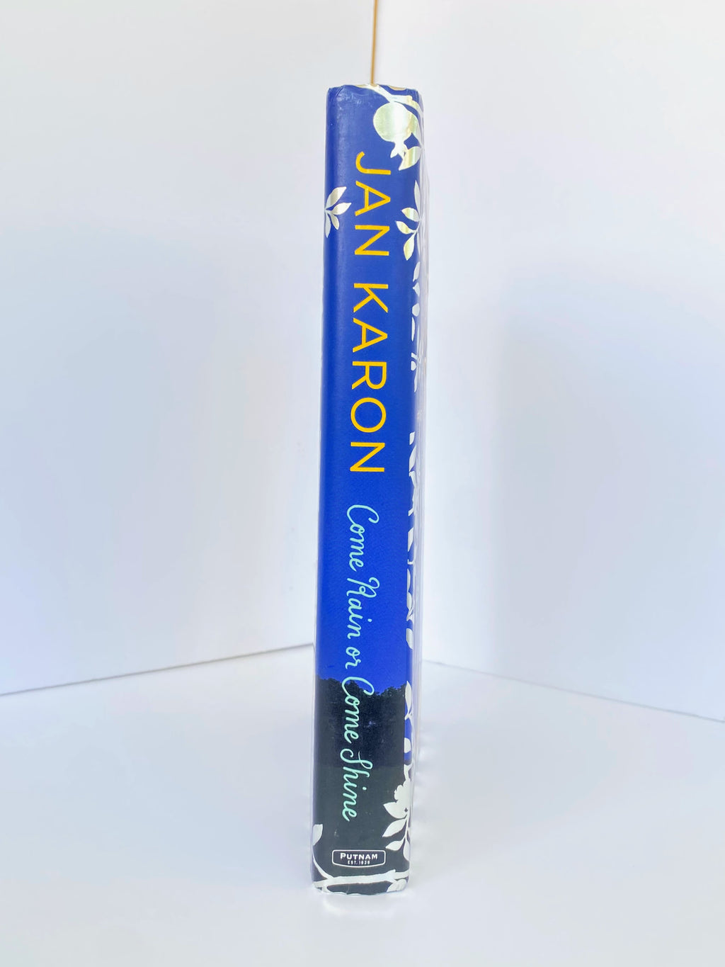 Come Rain or Come Shine by Jan Karon (2015, Hardcover)
