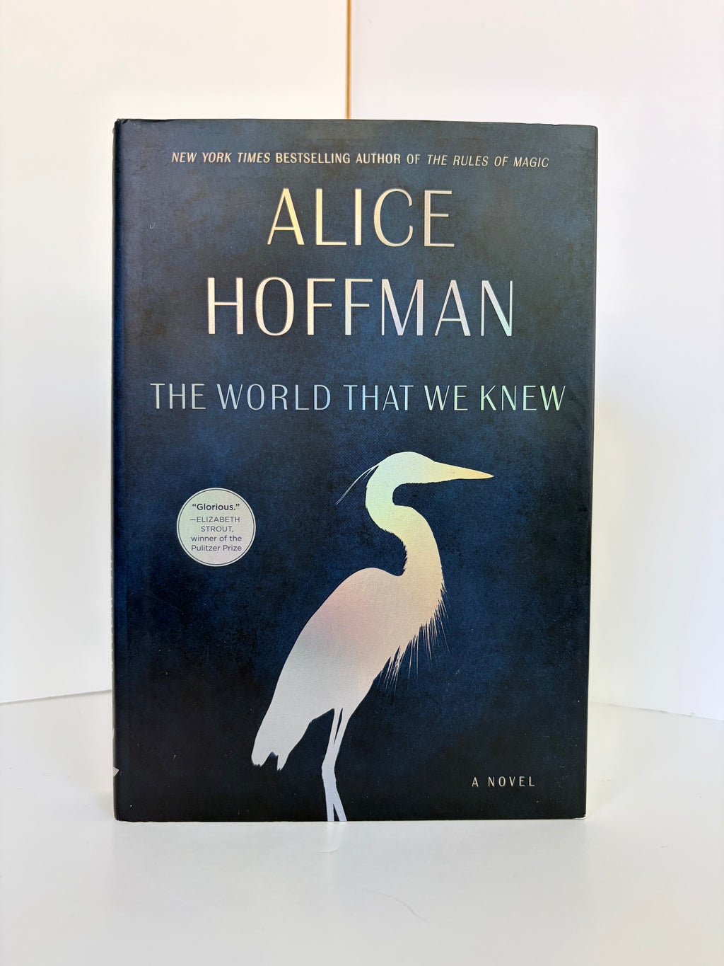 The World That We Knew by Alice Hoffman (2019, First edition)