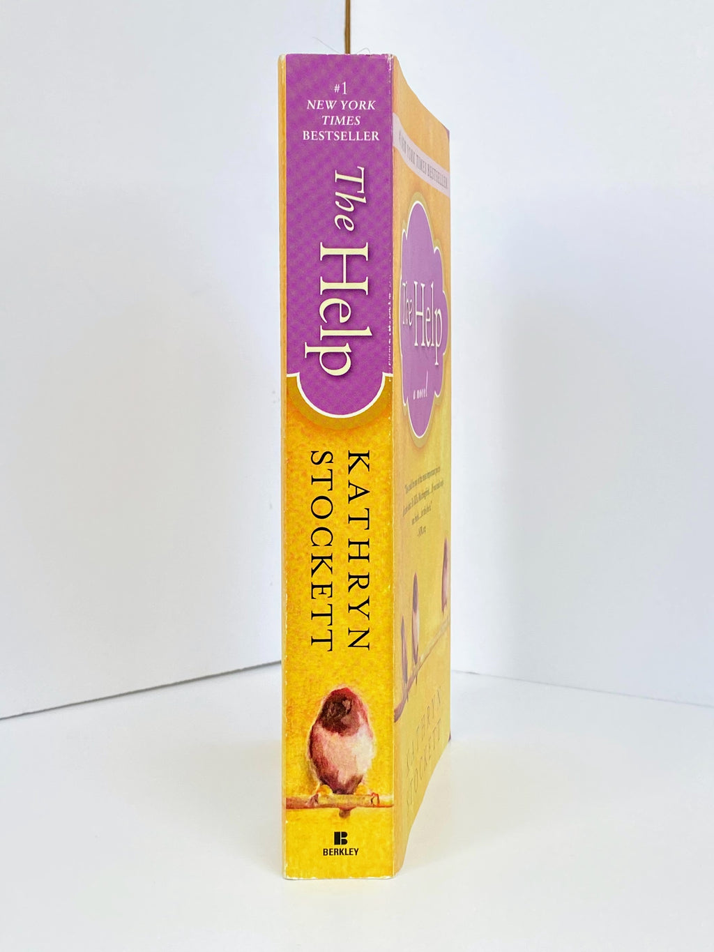 The Help by Kathryn Stockett (2011, UK-B Format Paperback)