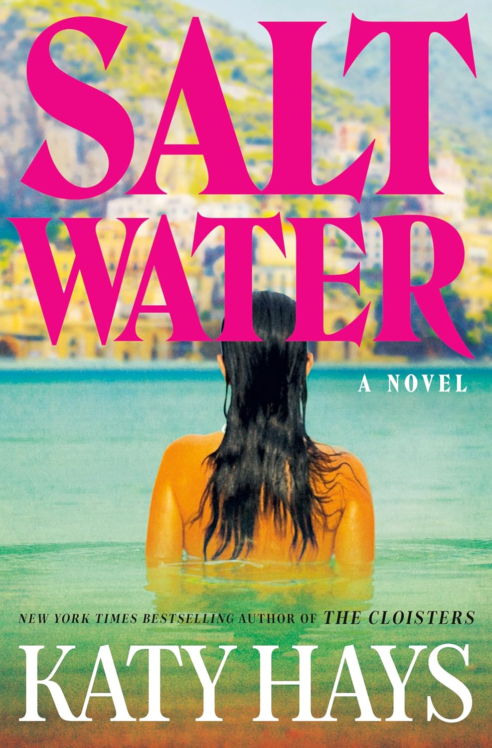 Saltwater: A Novel (2025, Hardcover)